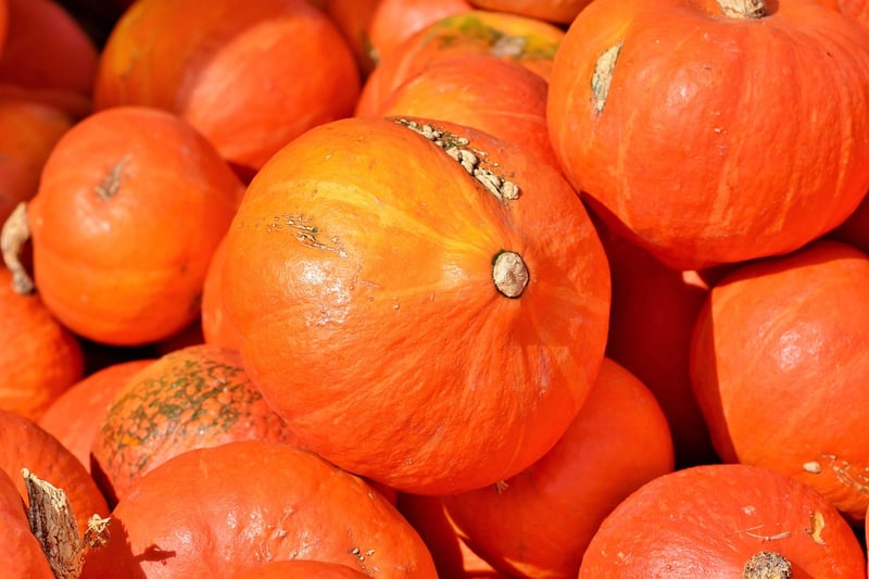 Earthy Squash